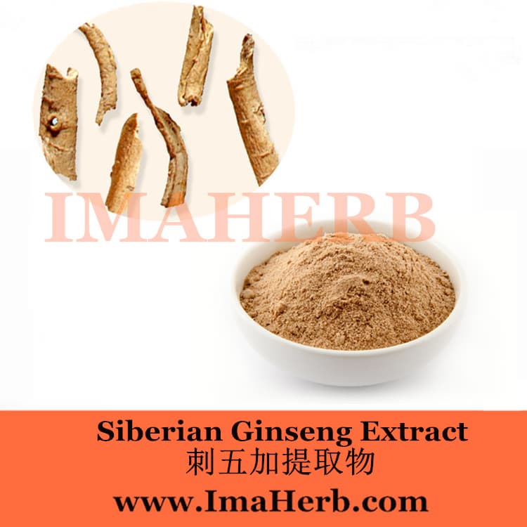 eleutheroside 0_8_ 1_2_ siberian ginseng extract